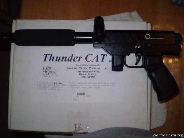 Thunder Cat